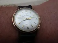 IMGP1655.webp