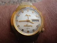 IMGP1645.webp