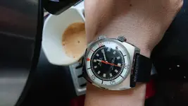 DSC_4246.webp