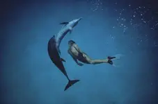 gobcan-dolphin-man-2018.webp gobcan-dolphin-man-2018.webp