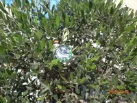 017.webp