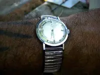 CYMA 335 R 484 h jpg.webp