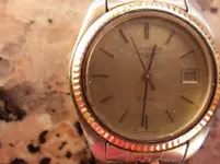 IMGP1748.webp