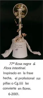 rosa_negra_&_flora_intestinal.webp