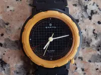 IMGP1810.webp