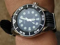 15870529937828061674313263024794.webp