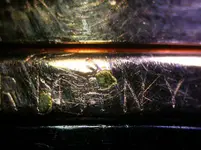 chapado desconchado en anillo DSCN5359.webp