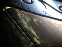 desgaste de oro rosa en plumin DSCN5378.webp