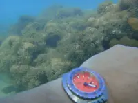 DSC01284 (800x600).webp