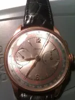 IMAG0282.webp