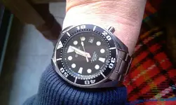 IMAG0315.webp