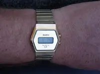 IMGP1884.webp