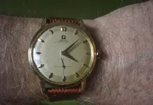 P1120311.webp