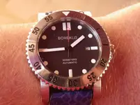 IMGP1741.webp