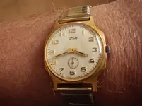 IMGP1896.webp