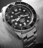 IMG_20200412_082332.webp