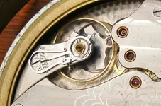 DSCF8131.webp