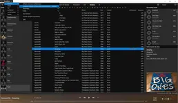 musicbee 2.webp
