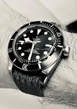 0693BAD1-181D-4E19-9261-DC3DFCA8B625.webp