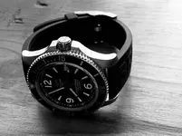 D53EA4AD-BA2F-4495-AD93-6A76981D1046.webp