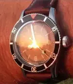 Steinhart 1.webp