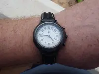 IMGP1963.webp