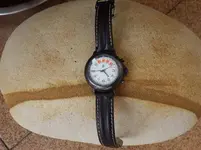 IMGP1961.webp