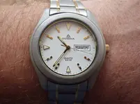 IMGP1950.webp
