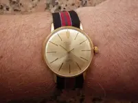 IMGP1966.webp