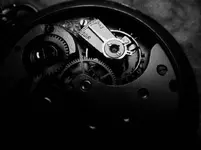 5 omega.webp