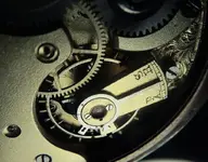 1 omega~2.webp