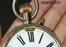 8diasomega.webp