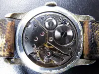 dypsa2red.webp