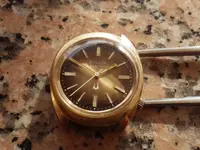 IMGP2090.webp