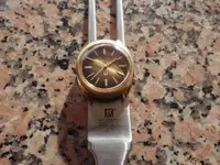 IMGP2093.webp