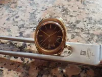 IMGP2088.webp