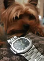 patek atila(2).webp