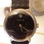 IMGP2034.webp