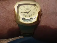 IMGP2102.webp