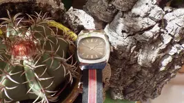 IMGP2209.webp