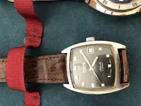 Nivada Antartic marrón III.webp