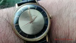 IMG_20200428_135956_wm.webp IMG_20200428_135956_wm.webp