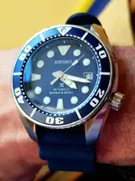 20200429_044722.webp