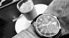 HAMILTON PILOT.webp