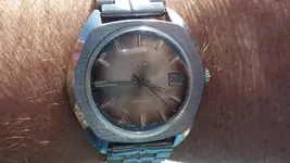 IMGP1998.webp