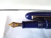 plumin nakaya.webp