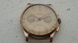 IMGP2249.webp