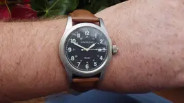 IMGP2252.webp