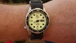 IMGP2064.webp