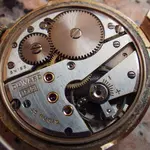 IMGP2275.webp